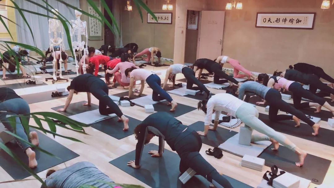 形体瑜伽港窑路21号(丽橙酒店院内)631238810:00—22:00东尚游泳健身