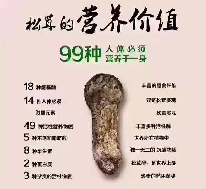 孕妈怀孕期间可以吃松茸吗?