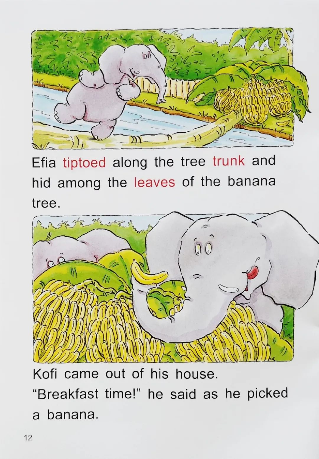 bananas for breakfast 香蕉早餐