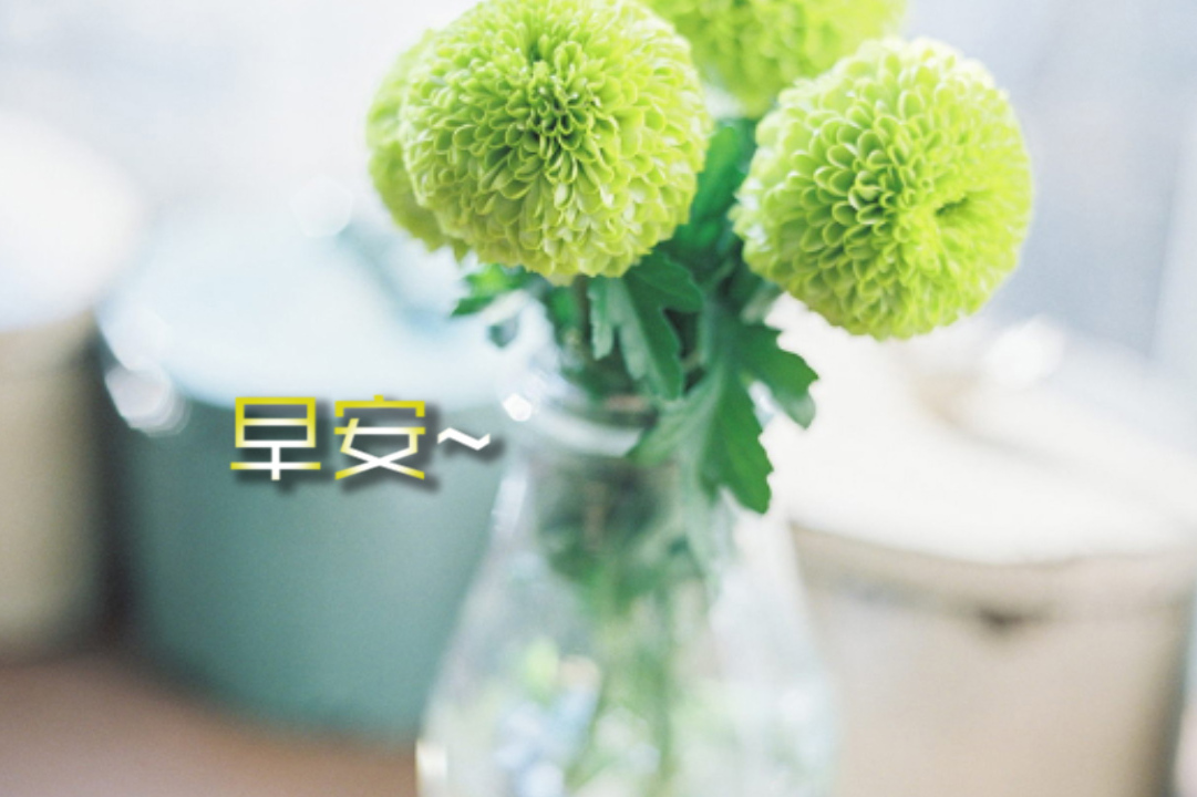 特别漂亮的早上好视频图片清晨激励自己的正能量句子