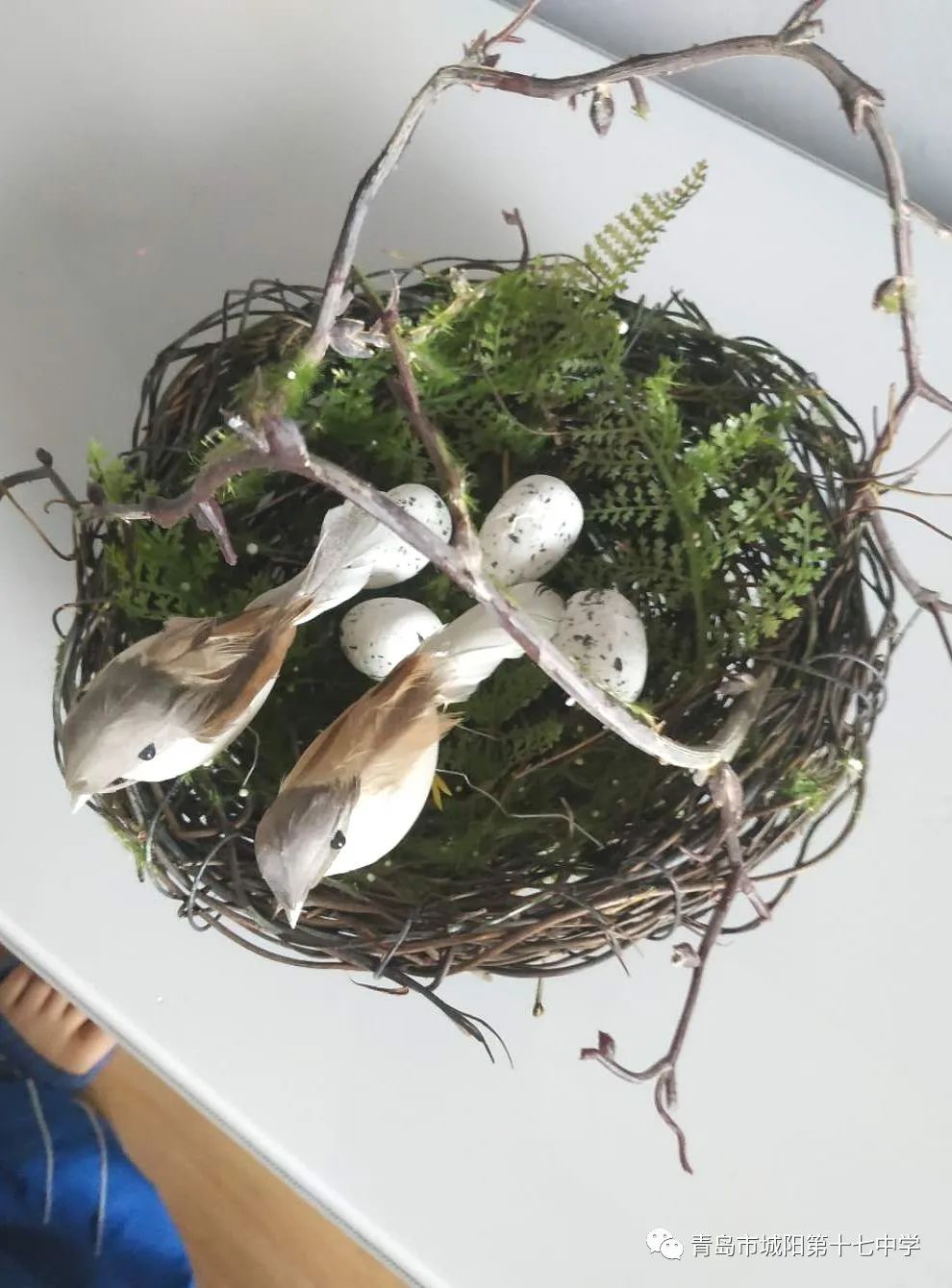 生态环保,防风防雨,美观且便于安装的设计要求,亲手制作了各种鸟巢
