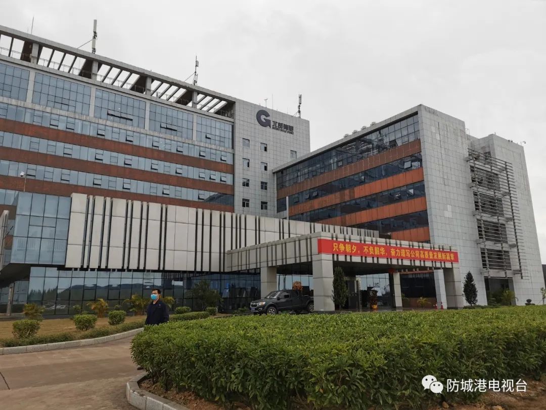 防城港市迪迈股份有限公司:公共管理与社会组织领域企业信息全解读