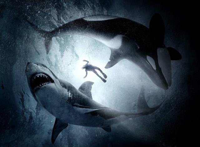虎鲸对战大白鲨,这部最新的鲨鱼电影,听起来很带感