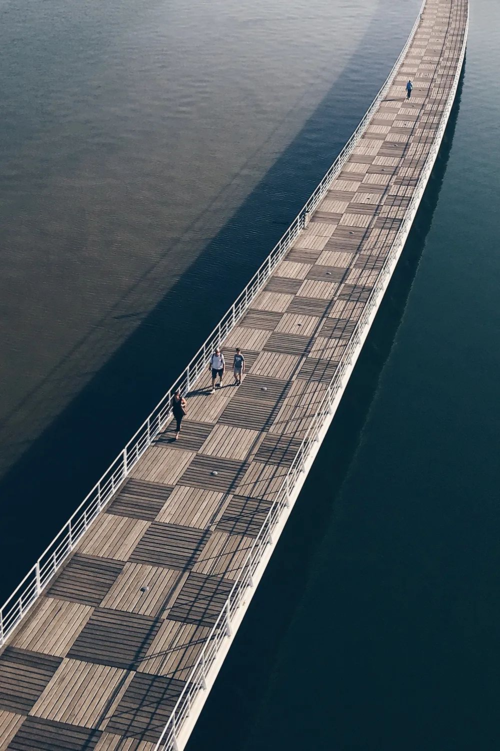 世界手机摄影大赛获奖作品出炉每一张都很惊艳