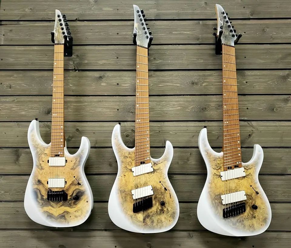 业内新闻海巍乐器正式代理前卫电吉他品牌legatorguitar