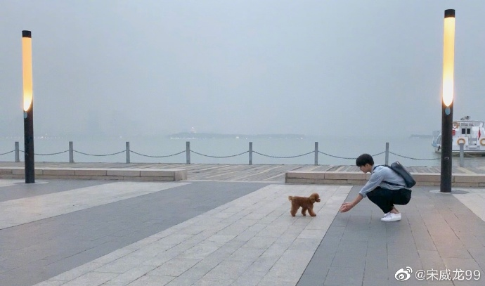 原创宋威龙认证信息异常被怀疑已和经纪公司解约后援会及时回应