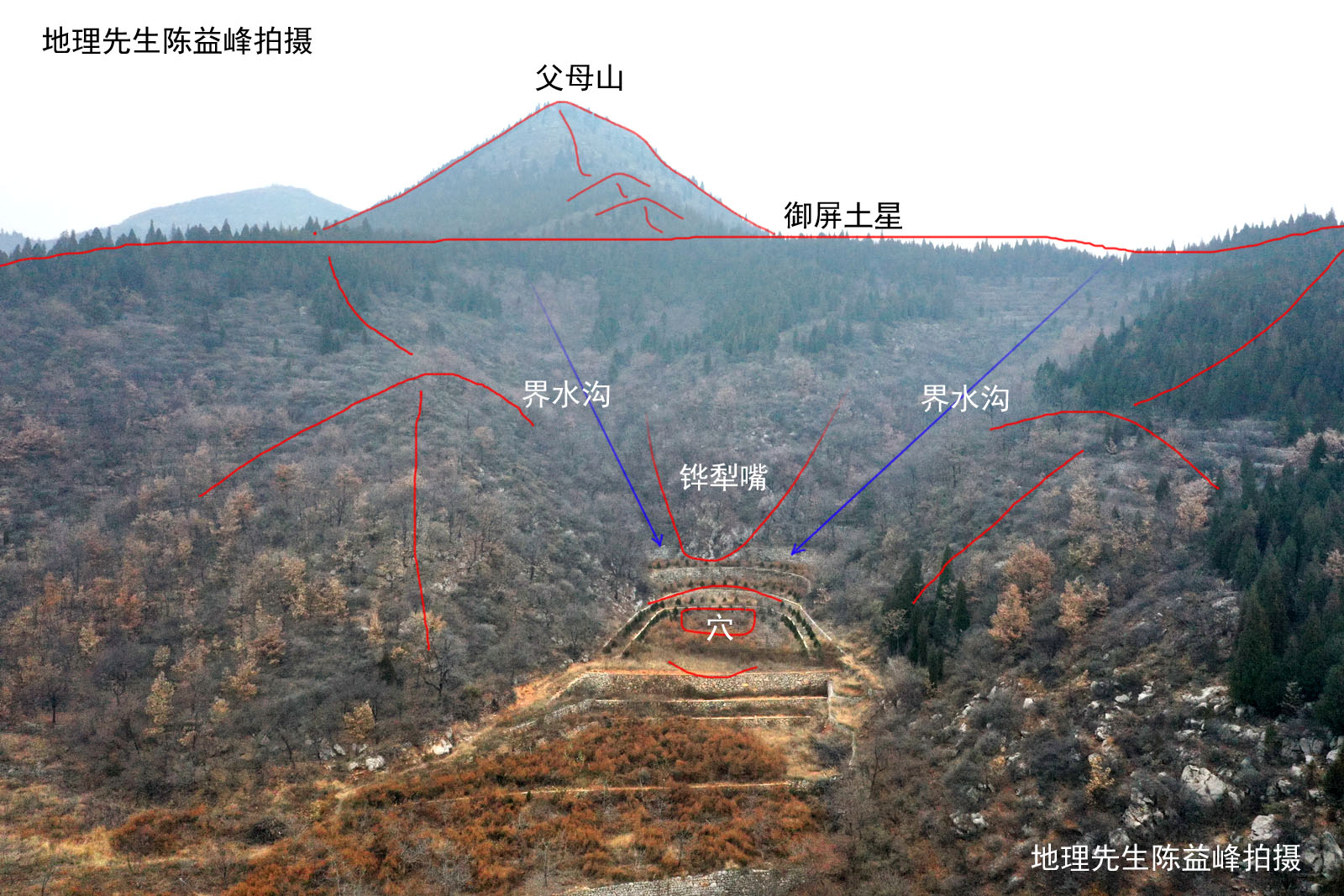 风水木星葬节芽图解图片