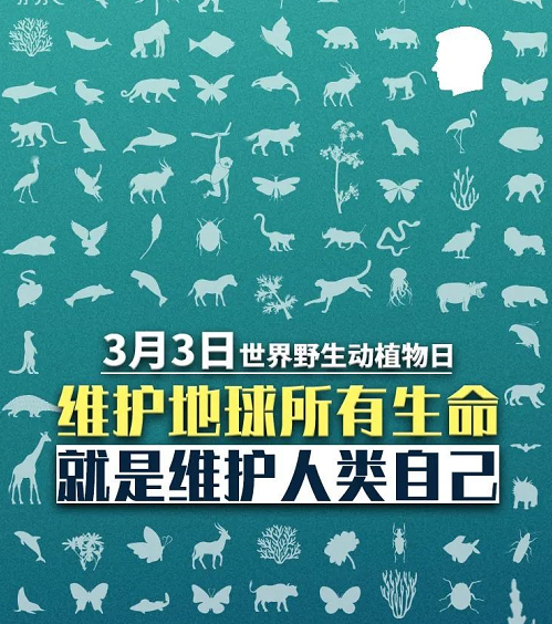 3月3日世界野生动植物日世界之大不仅仅是人类的家