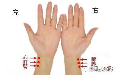脉诊图解大全，让你快速掌握脉诊_脉象