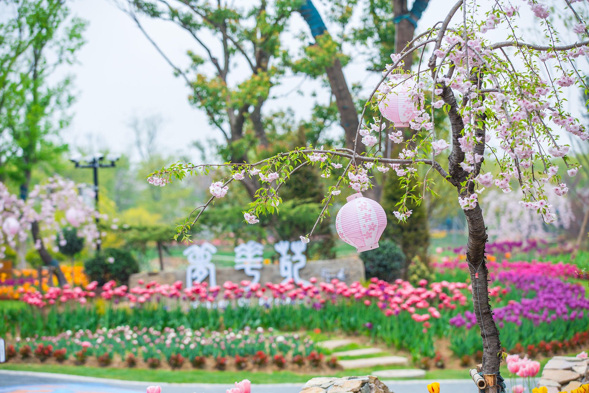 南京也有一座布查特花园,溧水三叶梦华苑,圆一个花园梦