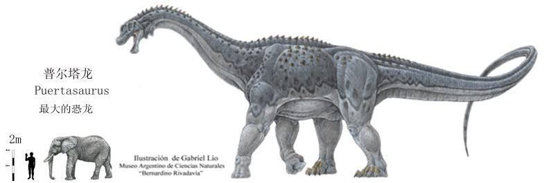 第四:瑞氏普尔塔龙阿拉摩龙(学名alamosaurus),又译阿拉莫龙,是