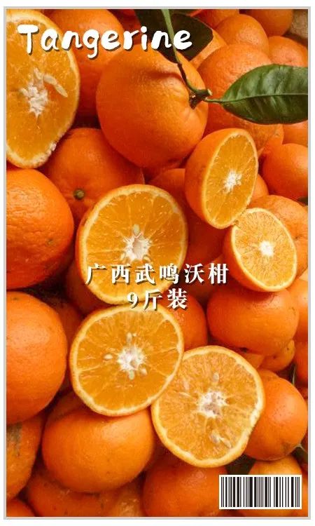 维他命深水炸弹418元9斤武鸣沃柑沃柑中的爱马仕我一个人能吃5斤