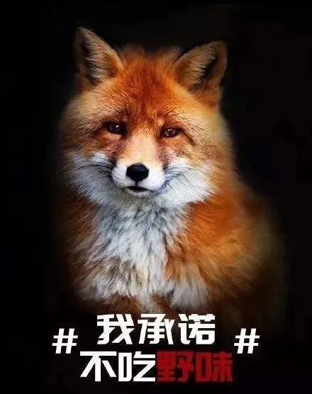 这些都不能吃珠海公安依法严厉打击食用野生动物行为