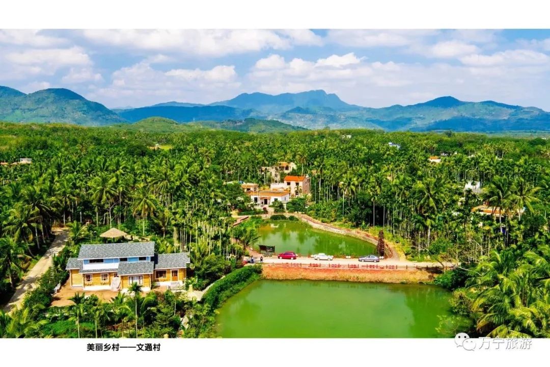 春暖花开乡遇万宁