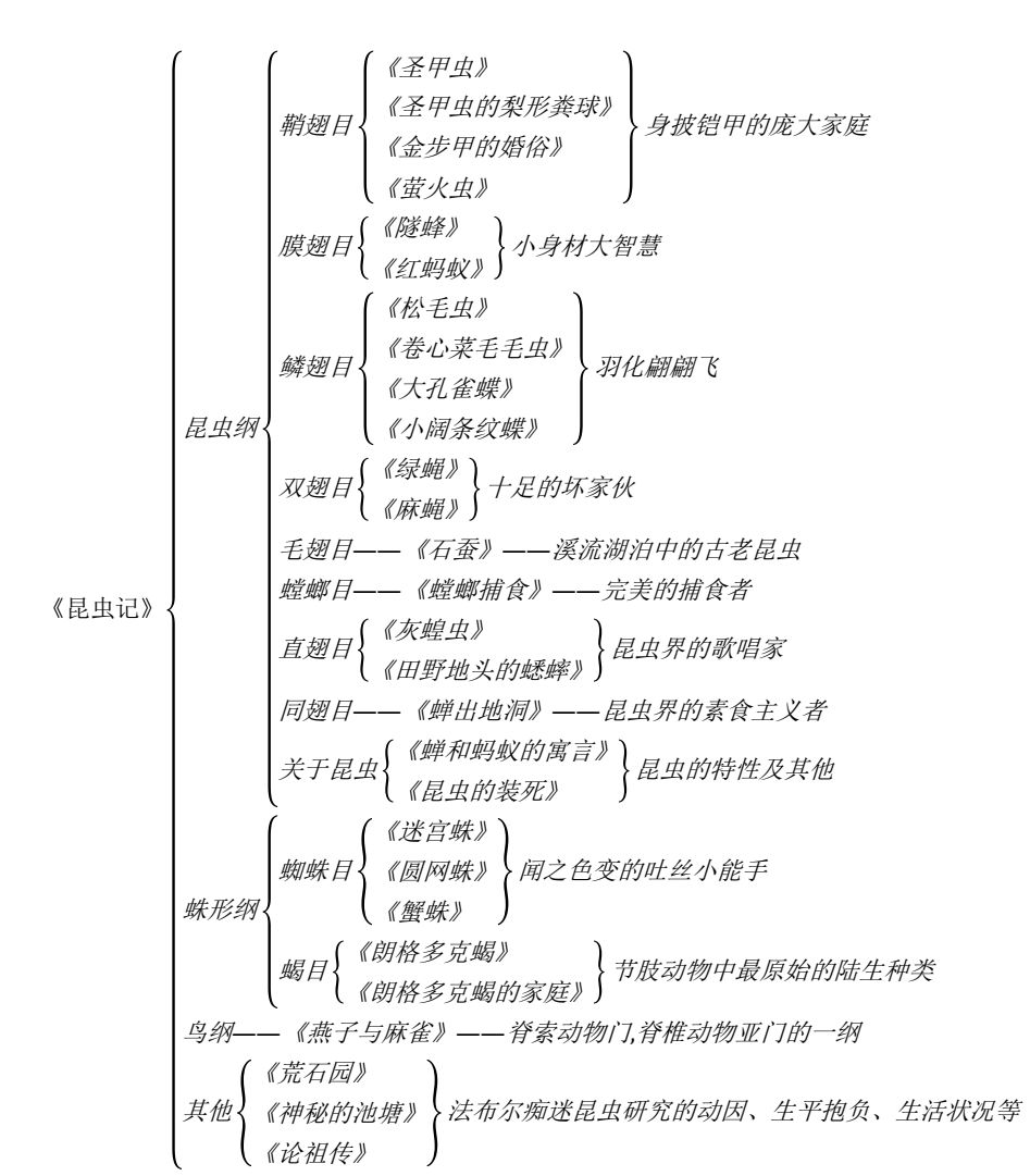 高分突破名著阅读系列微课昆虫记一
