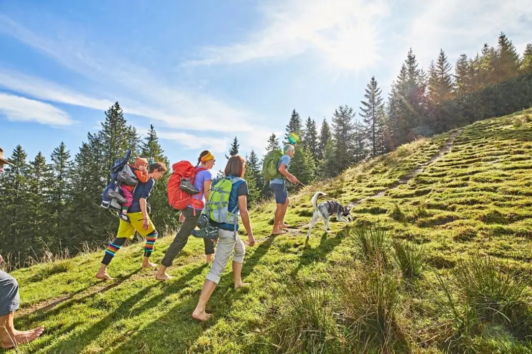 亲子田园之旅收获童话般的美景