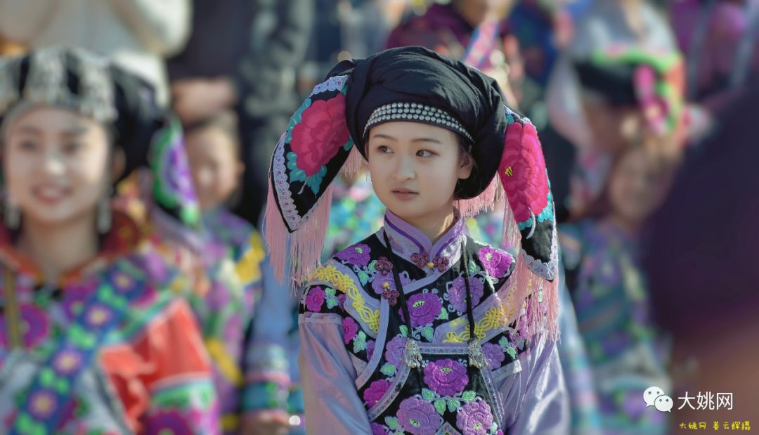 云游大姚 | 3年50张精彩照片,带你走进昙华插花节.