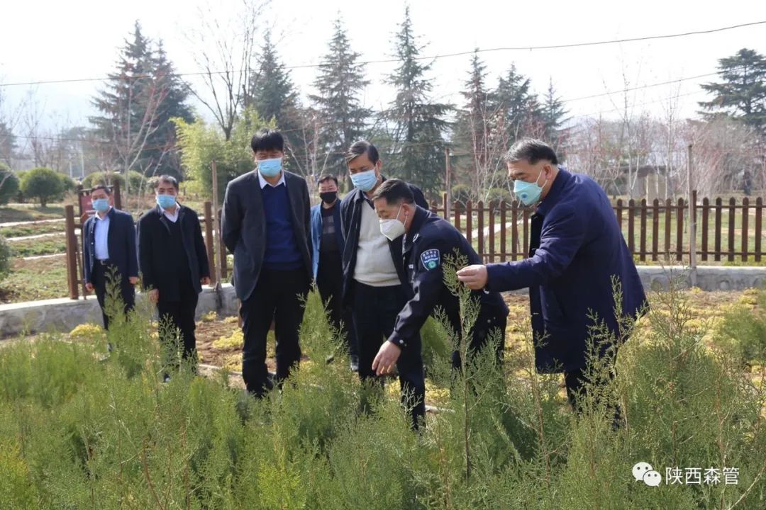 【森管简讯】袁朗到省森管局检查调研疫情防控和复工复产工作