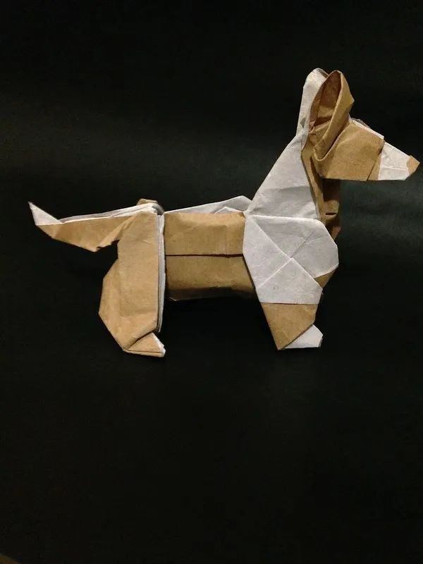 小狗身体折纸图片