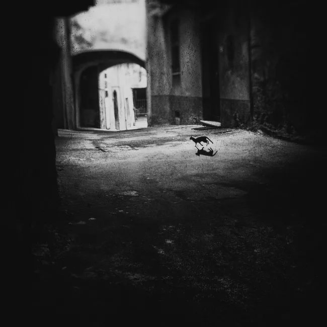 美图鉴赏 | ando fuchs的孤独黑白影像