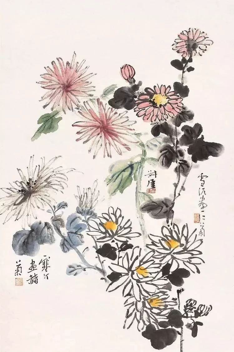 王雪涛菊花写意国画图片