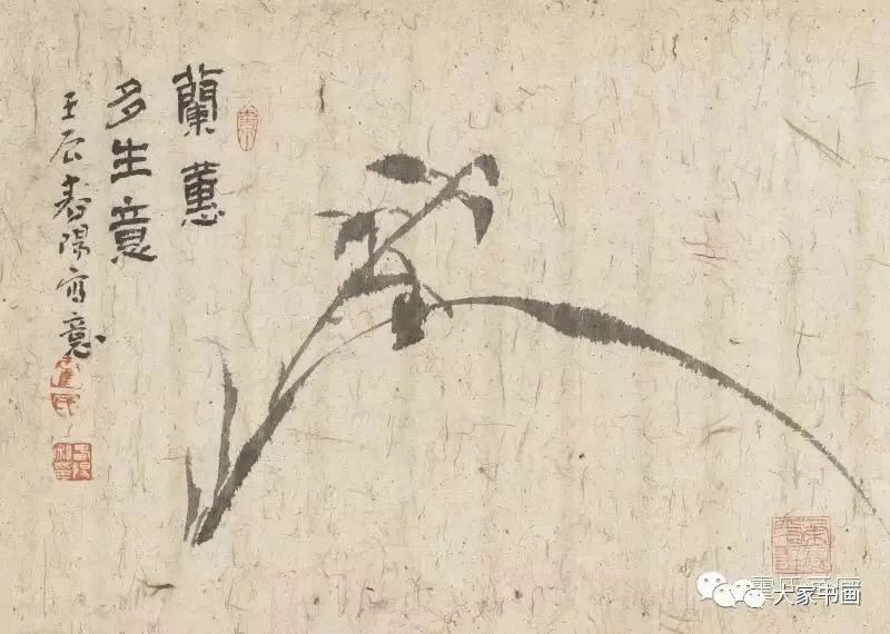 疏笔横斜香益远霍春阳教授讲解画兰及作品欣赏