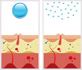 促进表皮细胞增殖,增强角质层屏障功能,提高皮肤自然抵御能力,改善