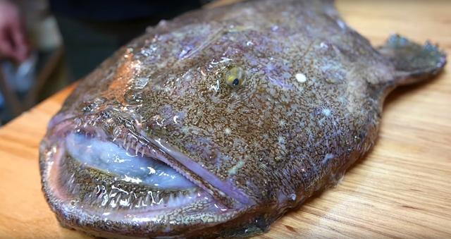 从小就在书中见过的海鬼鱼长这么可怕也能吃又该怎么吃