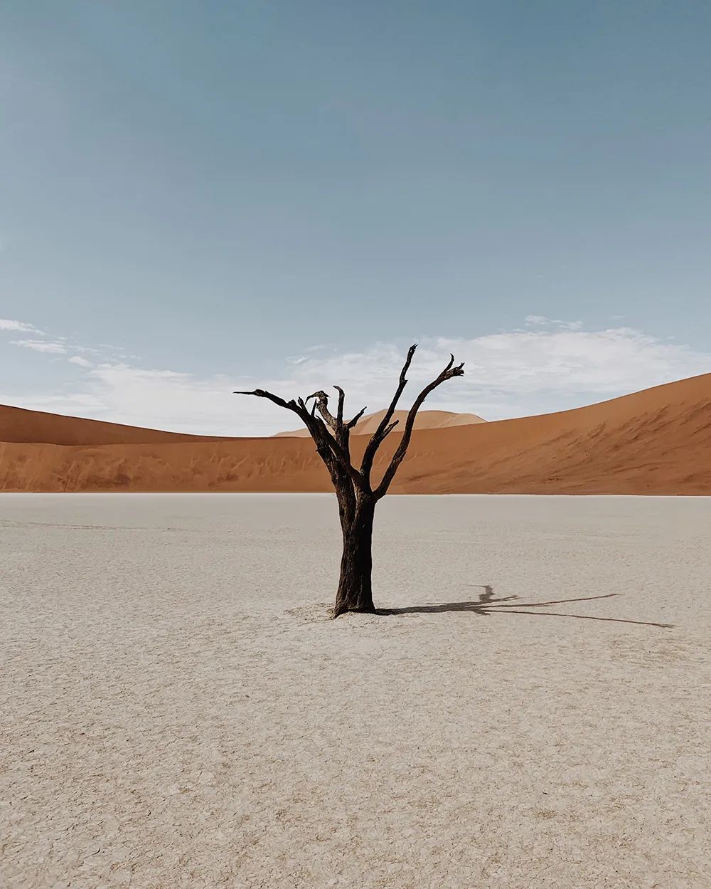 世界手机摄影大赛获奖作品出炉每一张都很惊艳