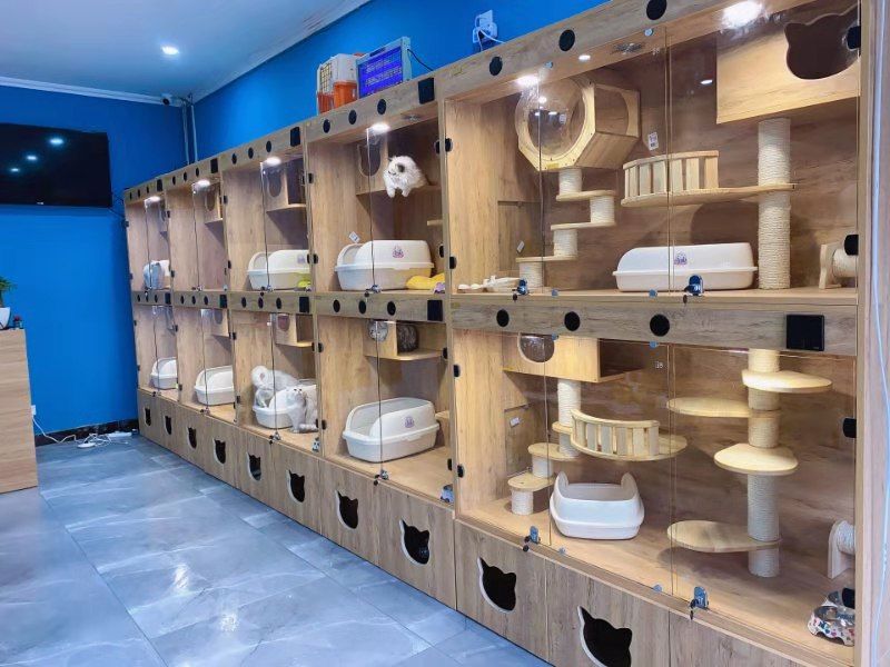 线上的宠物展67江苏喵匠人宠物用品有限公司已经上线参展了开始约见