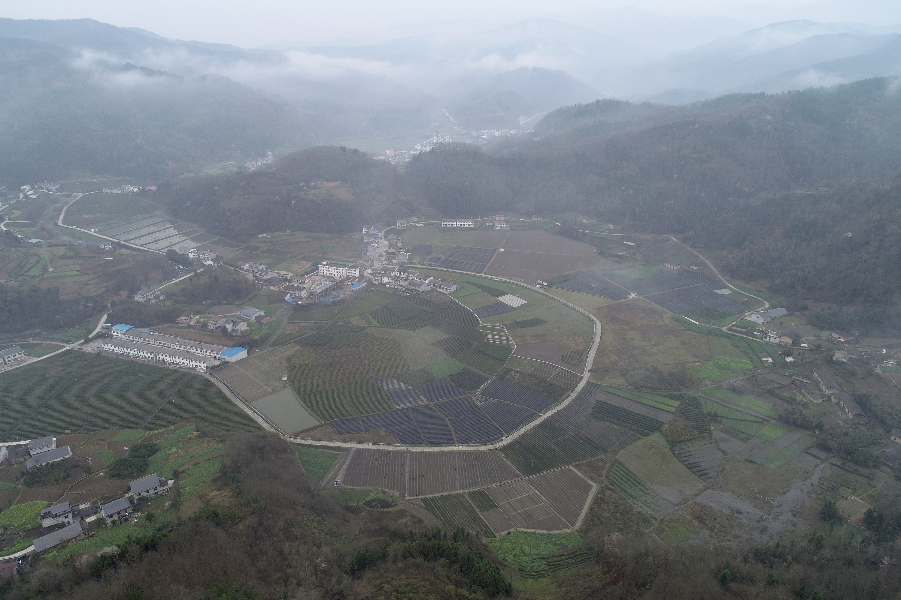 3月3日,茶农在汉滨区晏坝镇中坝村茶园内除草.