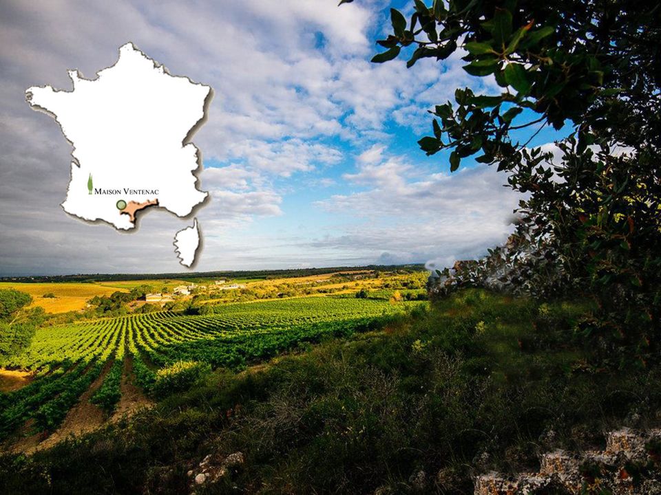 画意,她是画家毕加索,凡高,莫奈留连忘返的灵感之都,也是文学家莫里哀