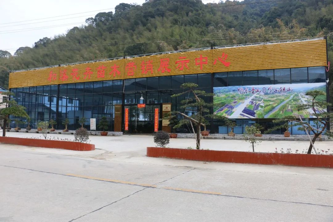 南靖和溪镇红色引擎助推绿色产业前行