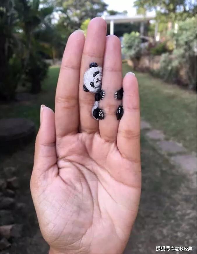 你看只要你会画画你就不需要女朋友了