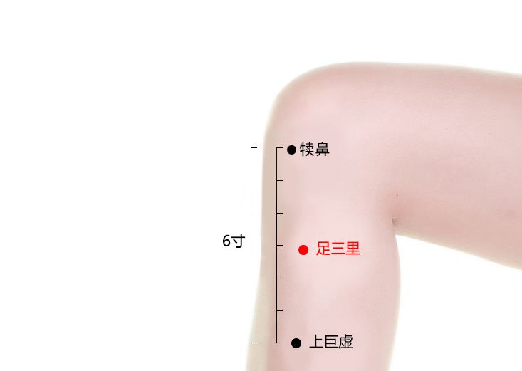 春困袭来总是睡不醒没精神三招帮你醒神提精气