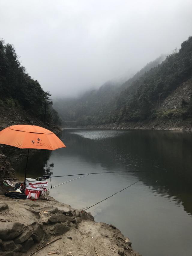 兩天野釣水庫總結資源和天氣是硬道理