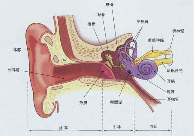 听神经瘤导致的耳鸣,比起平常的耳鸣有什么特点?