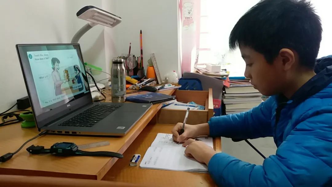 網課全面開始清遠小學生這些話不吐不快