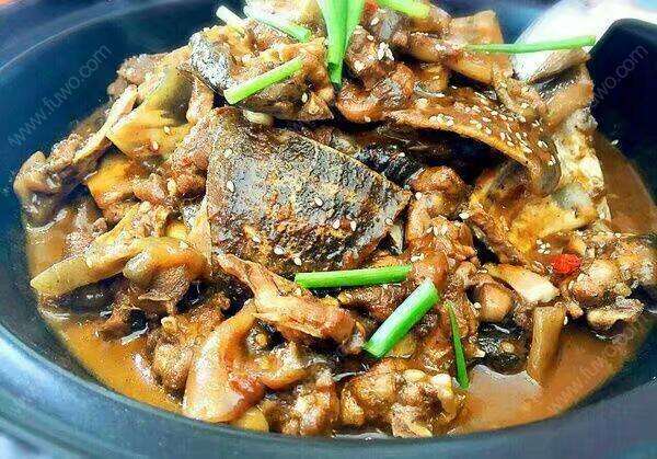 原创中华鳖乌龟牛蛙不列入禁食名录按水生物种管理