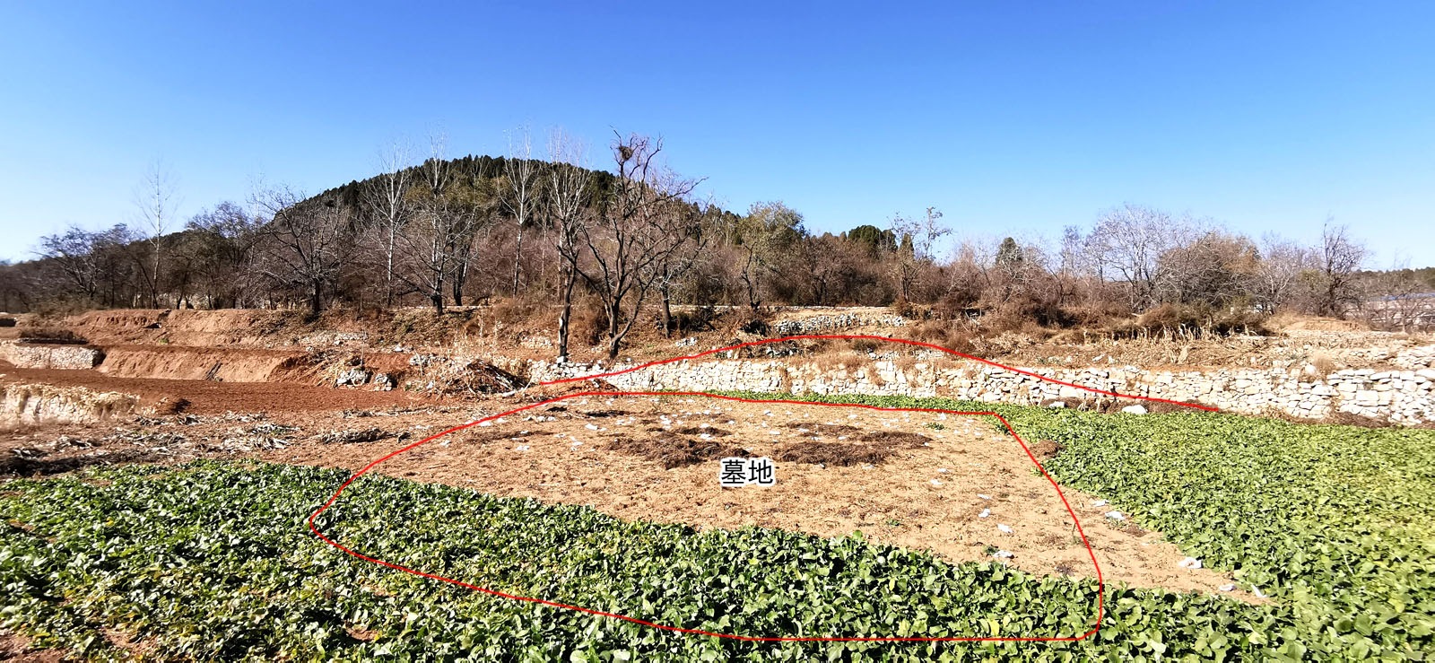 陈益峰将军卸qiāng罗氏从三品祖坟