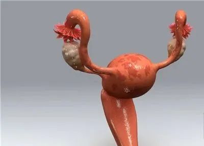 女性,这3种行为最伤害"子宫",千万别做!