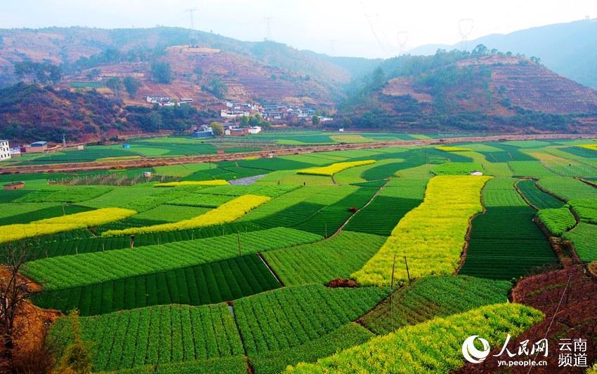 云南宾川初春大地宛如天然调色板