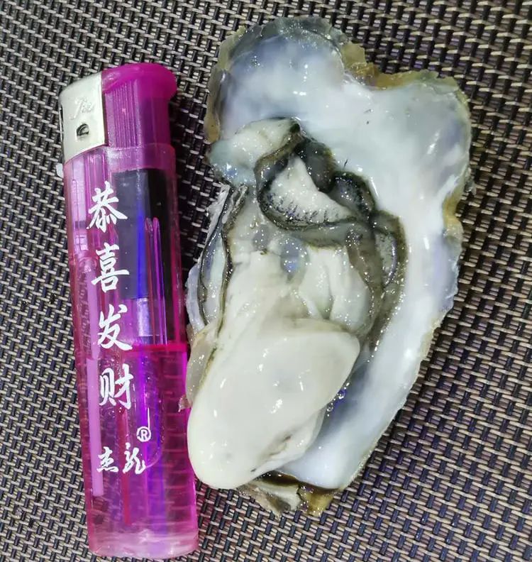 49元抢50个新鲜生蚝足足五斤全川顺丰包邮营养丰富