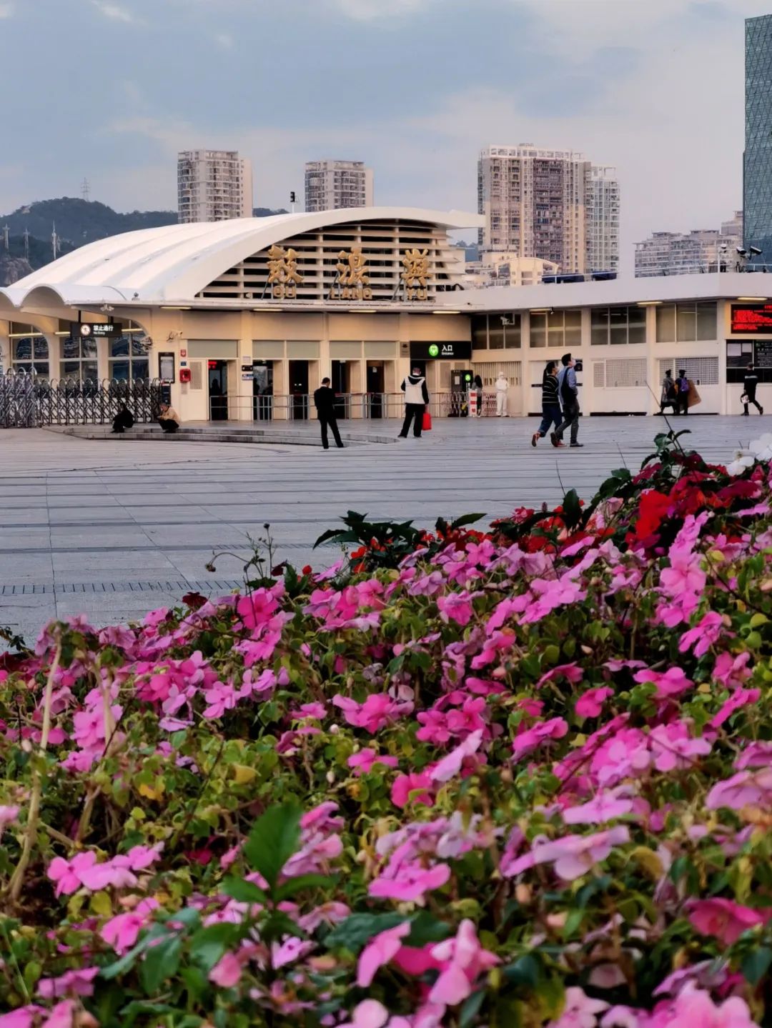 重磅厦门2020年最新购房政策限购限售落户贷款学位史上最全就业