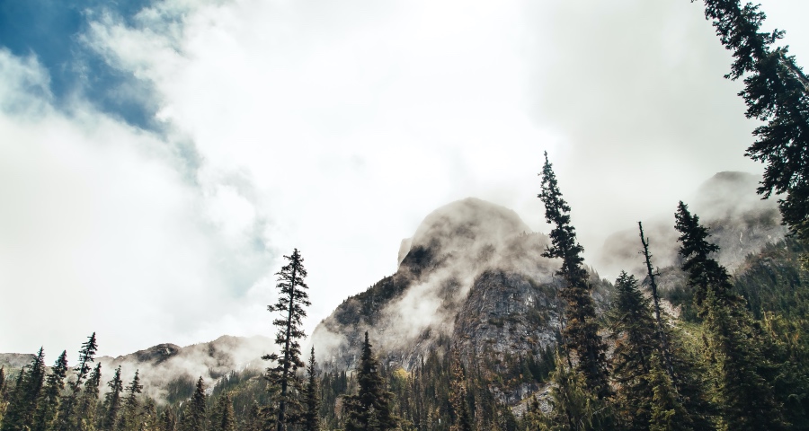 家电零售业告别洗牌期之际，还为产业转型按下“加速键”-家电圈官网