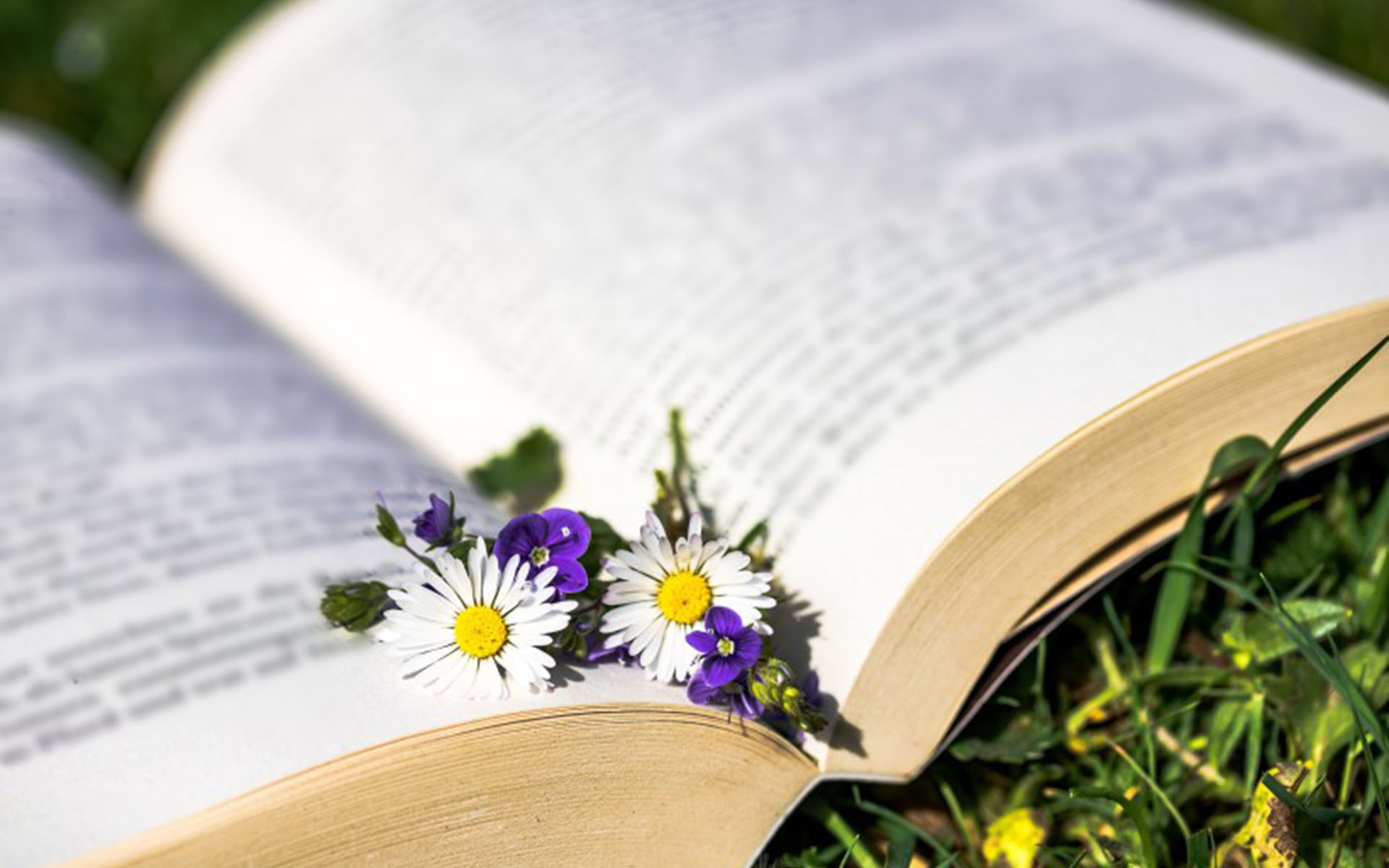 原创这三大生肖到了三月中旬运势开始旺盛会富贵相随福星相伴