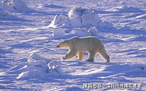 南極氣溫首超20北極甲烷大爆發珠峰植被增加趨勢愈發明顯