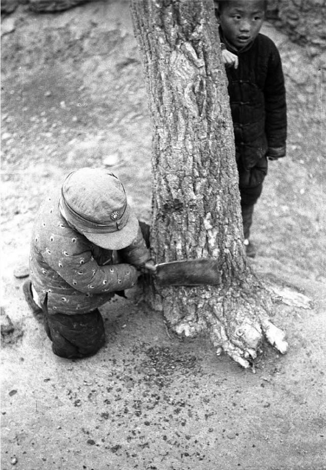 1942年中国大饥荒人在各种吃树皮