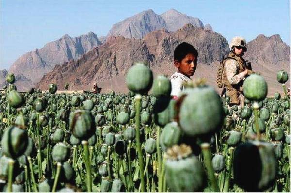 地球上最大毒品种植园:产量占世界85%,耕地基本被侵占!_金三角地区