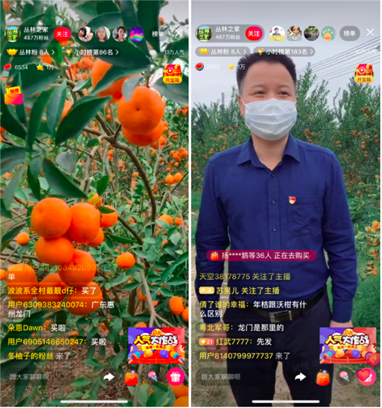 在广东龙门县的直播活动中,龙门县副县长罗光少将直播间搬到了果园.